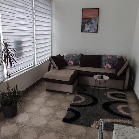 Apartman Jasna, Pirot Bagian luar foto