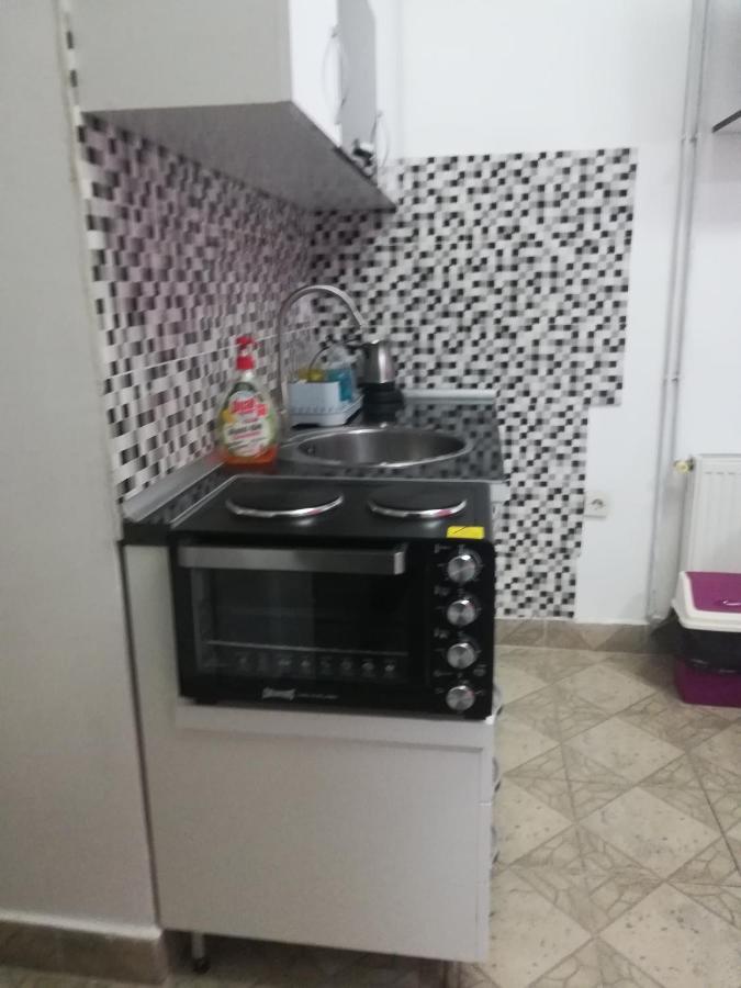 Apartman Jasna, Pirot Bagian luar foto